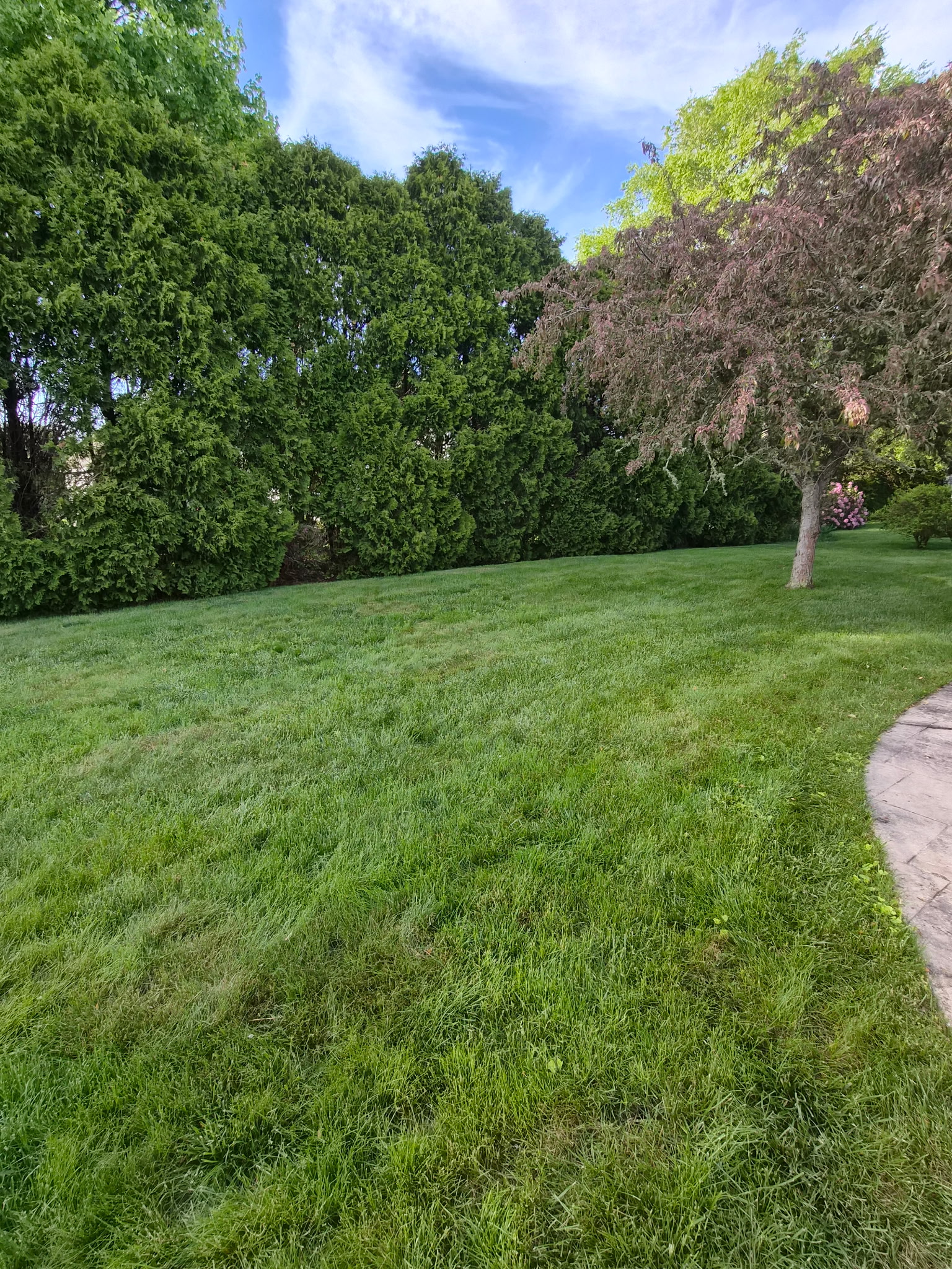 Salt House — lush private yard in spring bloom