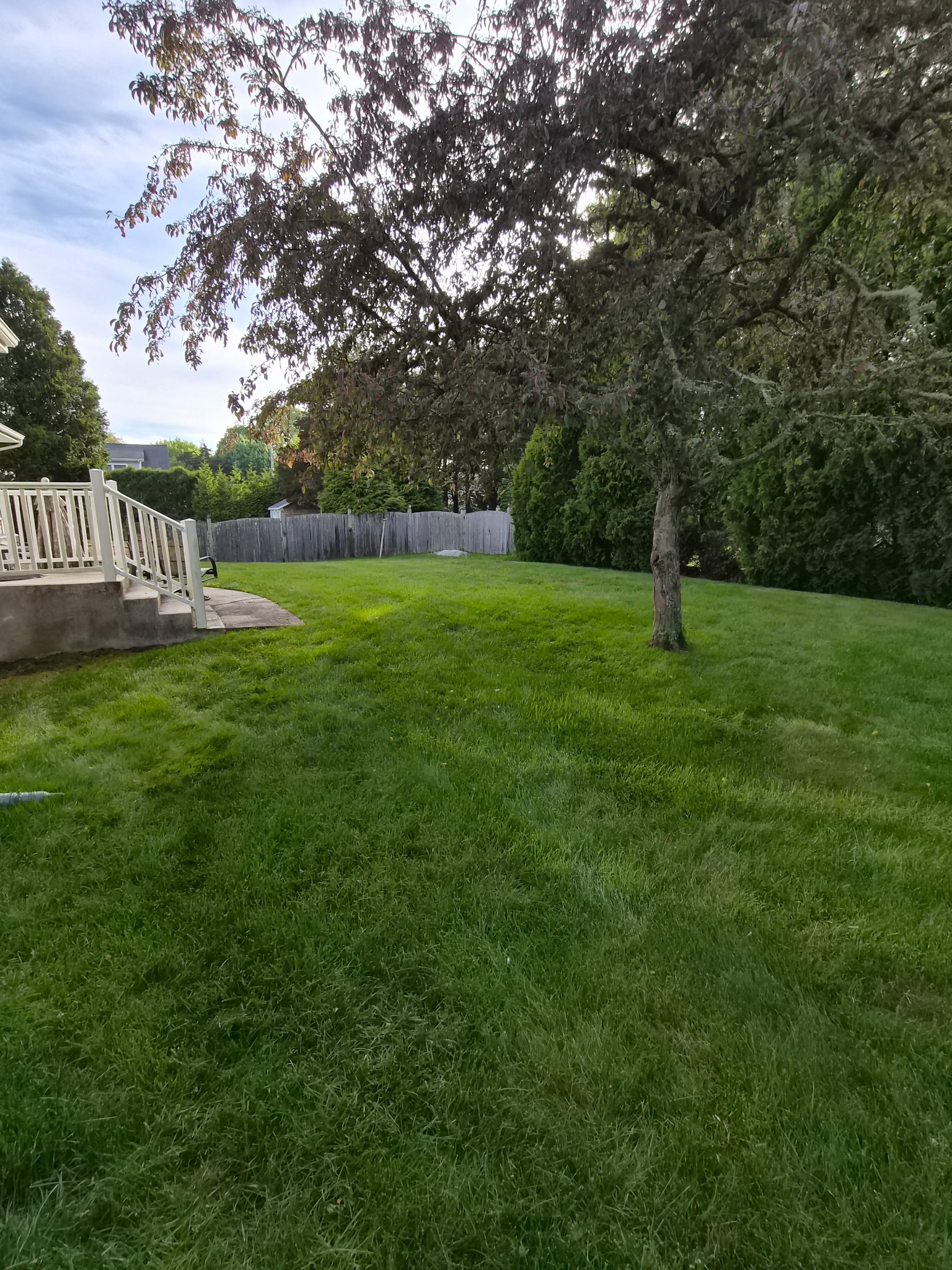 Private backyard